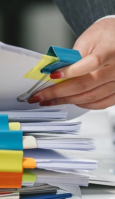 Organizando Documentos